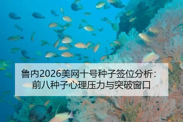 lu-nei-mei-wang-shi-hao-zhong-zi-qian-wei-fen-xi-qian-ba-zhong-zi-xin-li-ya-li-yu-tu-po-chuang-kou-1-110.jpg