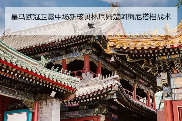huang-ma-ou-guan-wei-mian-zhong-chang-xin-he-bei-lin-e-mu-chu-a-mei-ni-da-dang-zhan-shu-jie-2-982.jpg